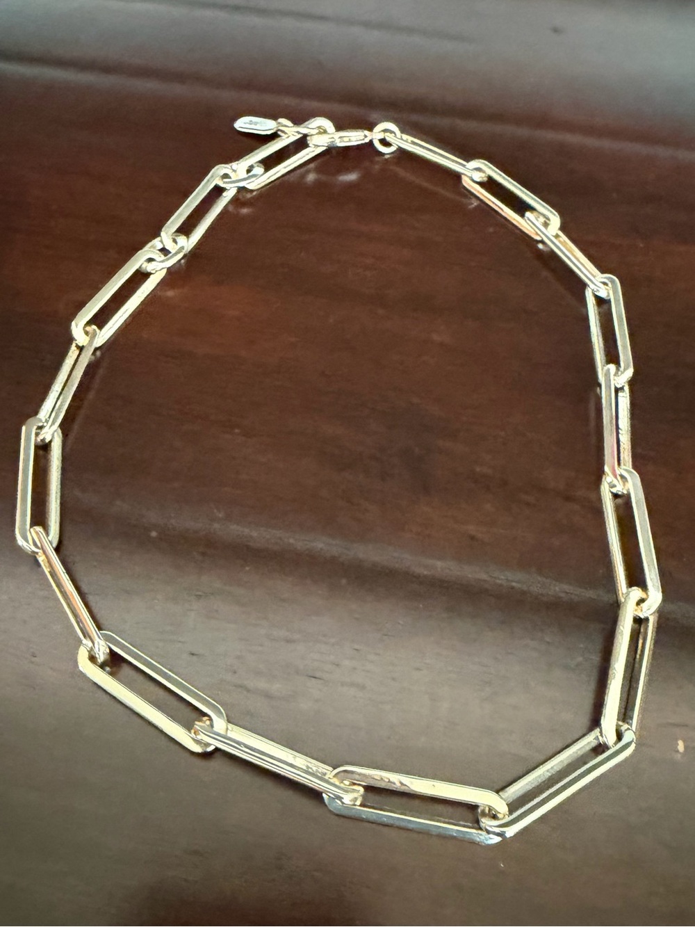 Jenny Bird Silver Stevie Paperclip Link Necklace
